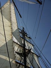 080508_Roald_Amundsen 297